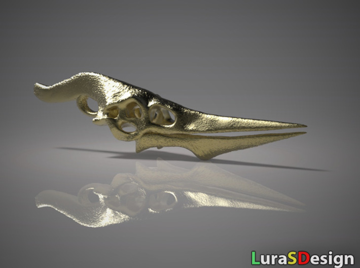 Pteranodon Skull 3d printed