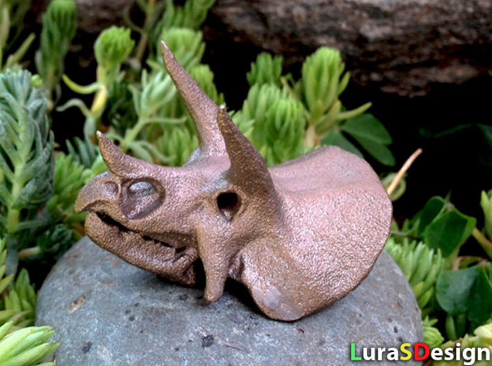 Triceratops Dinosaur Skull Pendant 3d printed 