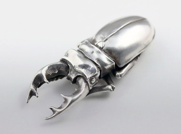 Large Silver Stag Beetle 3d printed 