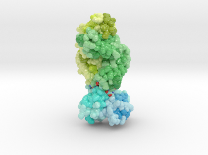 Human Antibody Fab Targeting fHbp (Volumetric) 3d printed