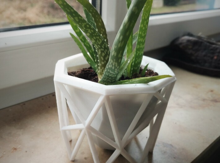Geometrical Planter 3d printed Works well with aloe.