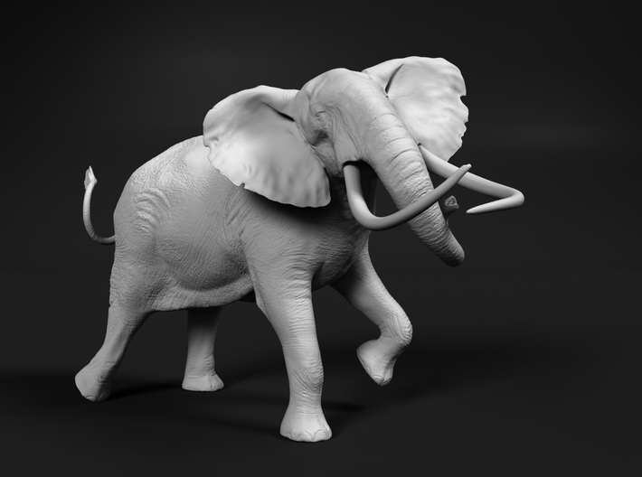 African Bush Elephant 1:12 Tusker Bull Shawu 3d printed 