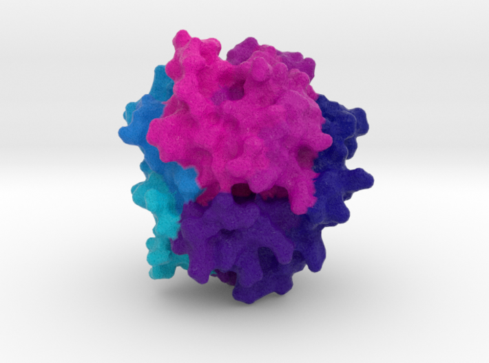 Haloalkane Dehalogenase 3d printed