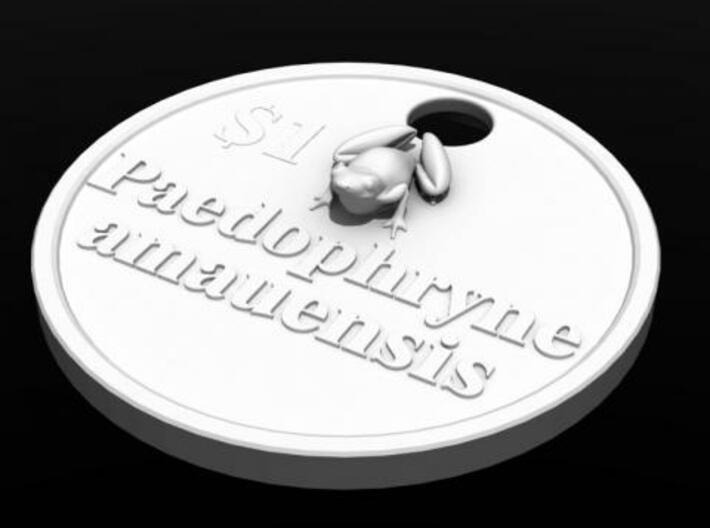 Paedophryne amauensis; world's tiniest frog - pend 3d printed frog render1