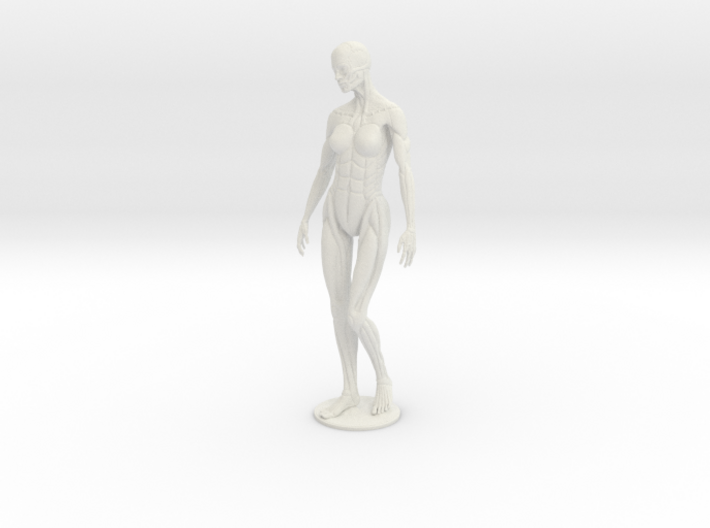 Female form robotic anatomy 20cm 3d printed