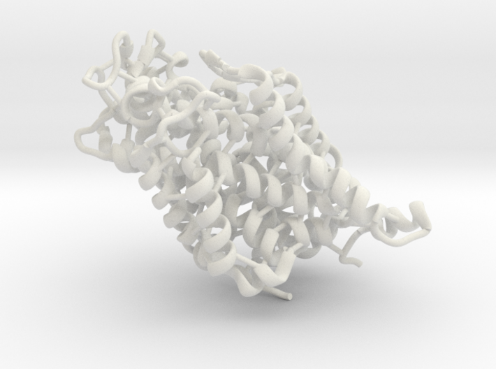 Dopamine Transporter Protein (DTP) 3d printed Download for free or print me here!