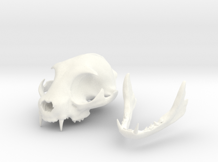 Mid-Sized Cat Skull Sculpture 3d printed