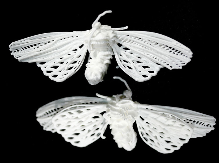 Moth Suffering Large 3d printed