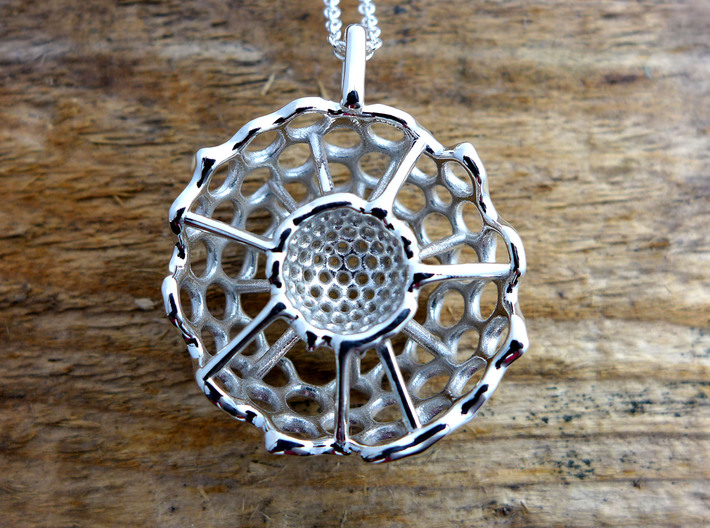 Spumellaria spineless Radiolarian - Paleontology 3d printed Spumellaria spineless in polished silver