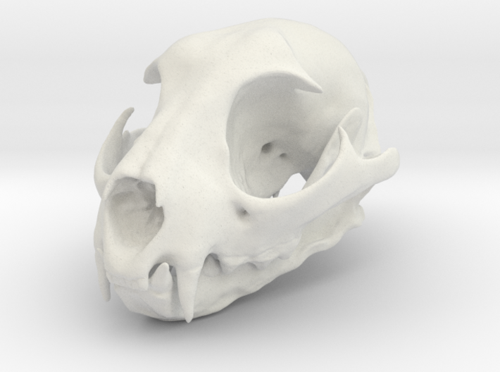 Bobcat Skull - Closed Jaw Ornament 3d printed