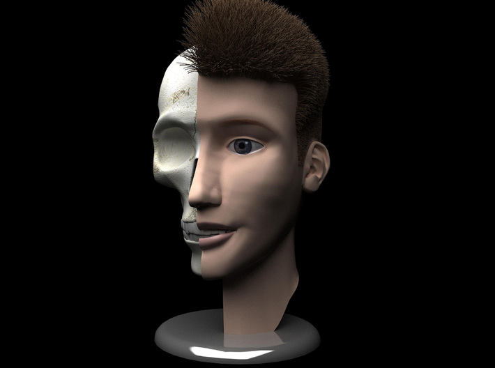 Human Skull Head - 4" tall 3d printed 