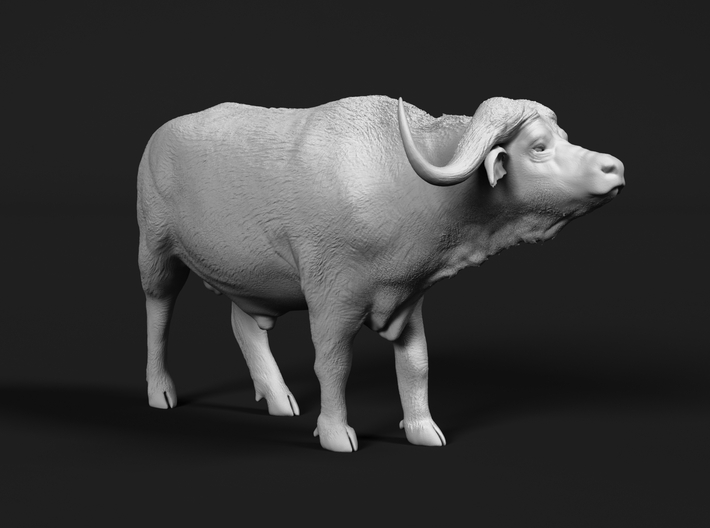 Cape Buffalo 1:25 Standing Male 2 3d printed 