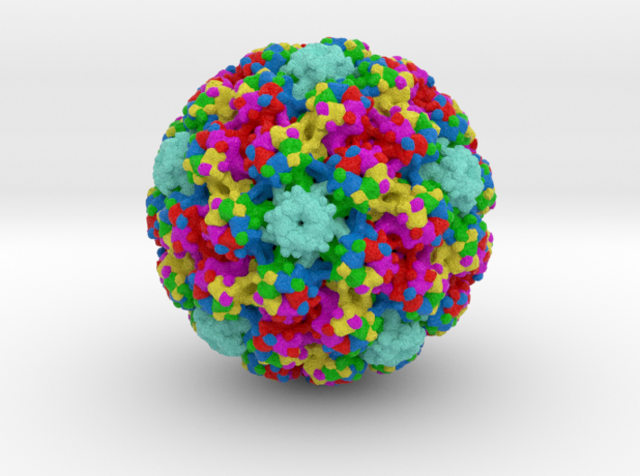 Human Papillomavirus (HPV) 3d printed