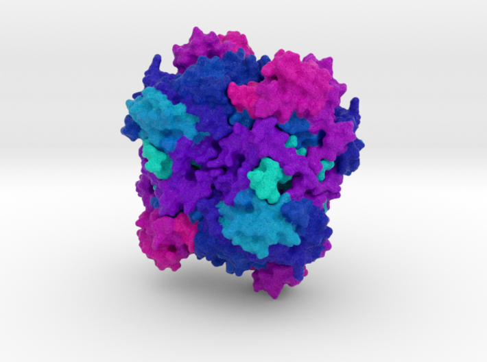 Catalase 3d printed