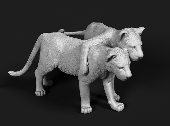 Lion 1:6 Cubs distracted while playing 3d printed 