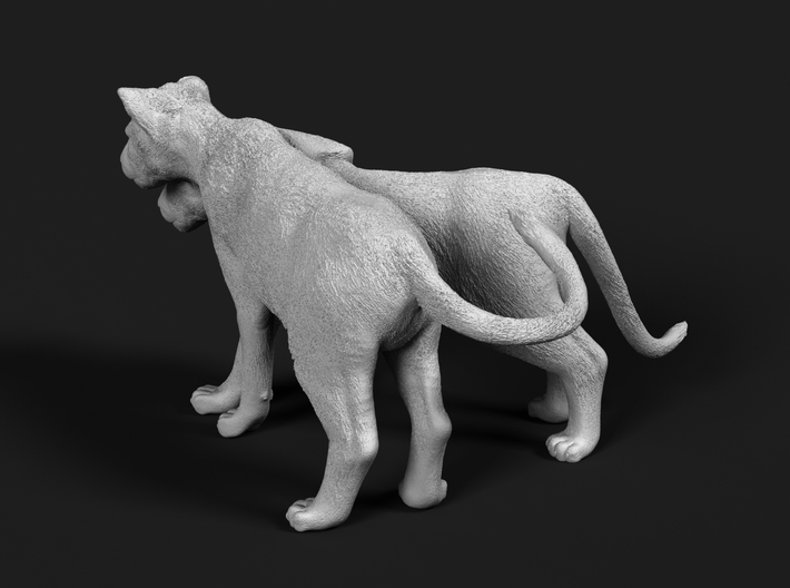 Lion 1:16 Cubs distracted while playing 3d printed