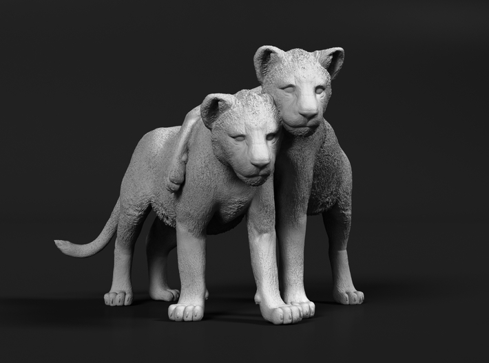 Lion 1:22 Cubs distracted while playing 3d printed