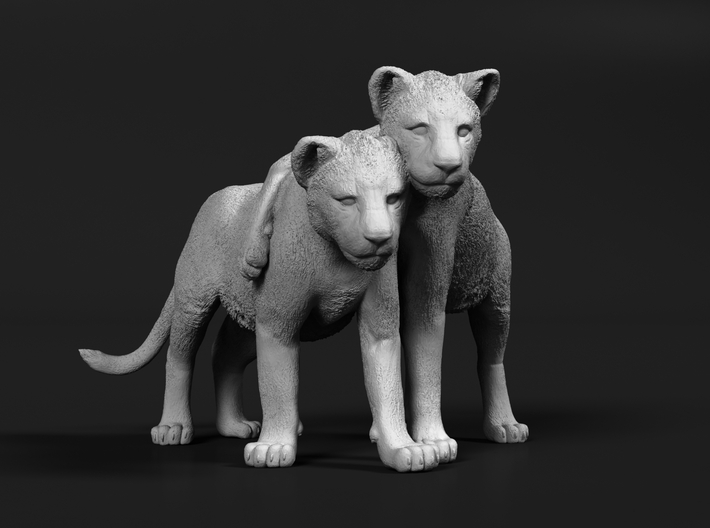 Lion 1:72 Cubs distracted while playing 3d printed