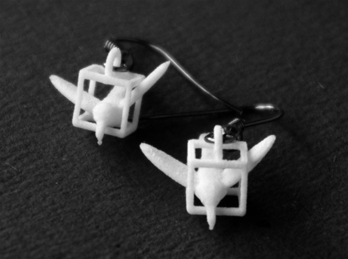 Trapped Hummingbird Earrings 3d printed Add a caption...