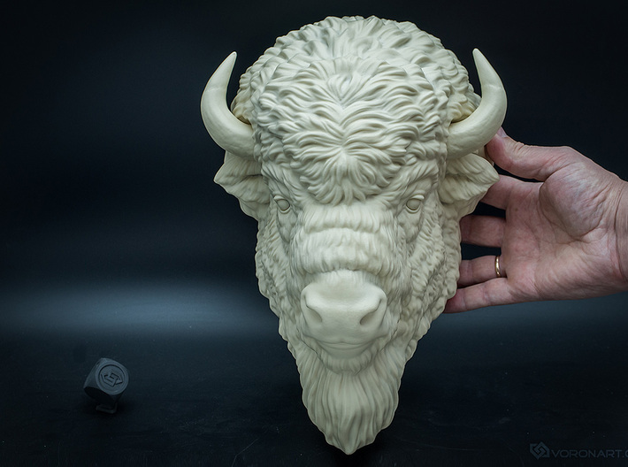 American Bison head. Wall-mounted sculpture 3d printed