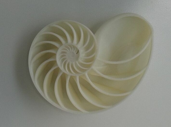 Spiraling Nature | Nautilus Shell 3d printed