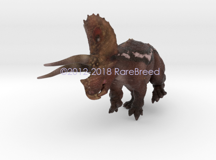 Torosaurus 3d printed Torosaurus in color ©2012-2018 RareBreed