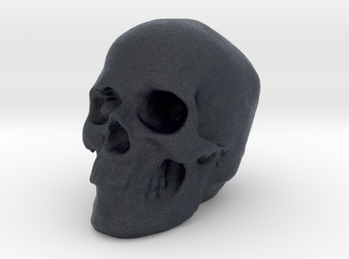 Skull 3DXS 3d printed