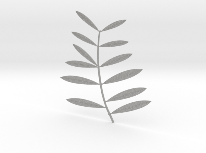Olive tree branch 3d printed