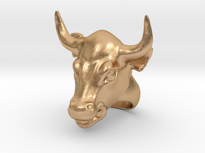 Bull ring 3d printed