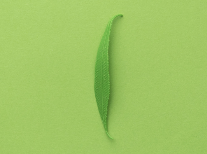 Willow tree leaf 3d printed Printed with PLA and bent