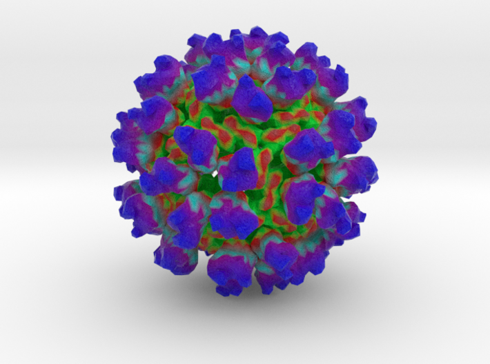 Rous Sarcoma Virus    3d printed