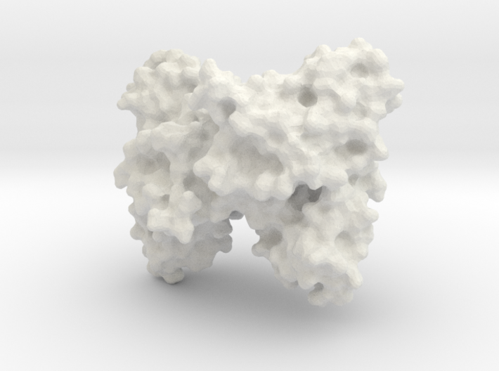 Cytotoxic T Lymphocyte-Associated Protein 4 CTLA4 3d printed