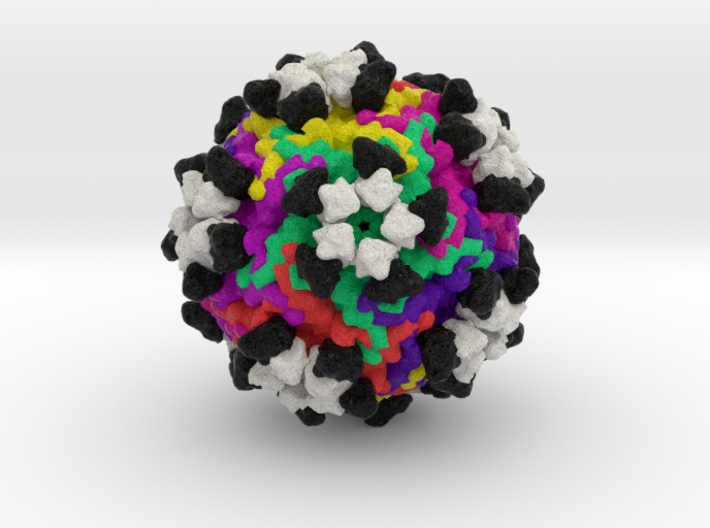Parvovirus B19 with Antibodies Fab 3d printed