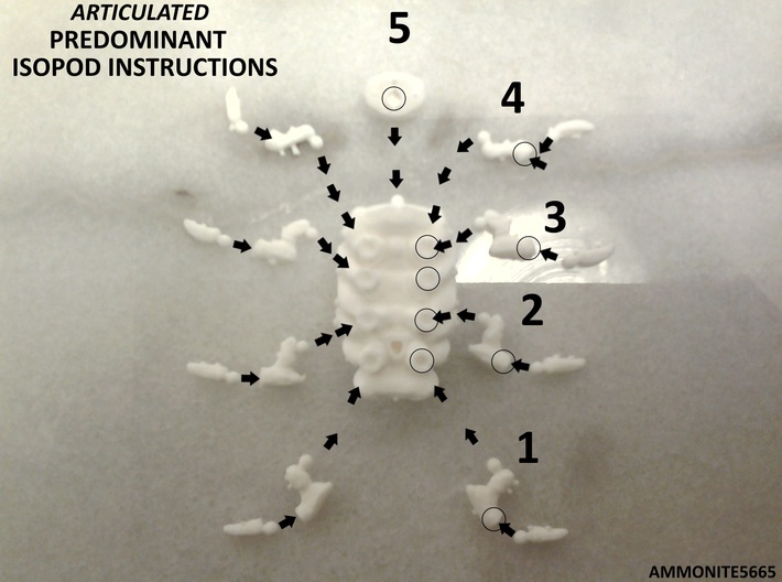 Articulated Predominant Isopod A Ball-Jointed Kit 3d printed 