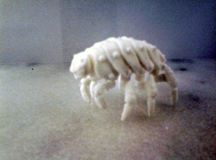 Articulated Predominant Isopod A Ball-Jointed Kit 3d printed