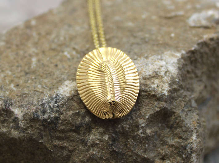 Dickinsonia Fossil Pendant - Paleontology Jewelry 3d printed Dickinsonia pendant in 14K goldplated brass