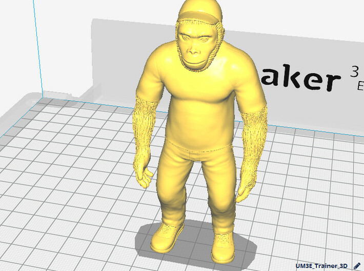 Trainer_3D 3d printed 