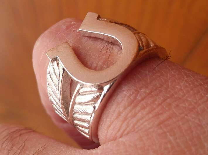 Horseshoe Ring - Size US 8.5 3d printed
