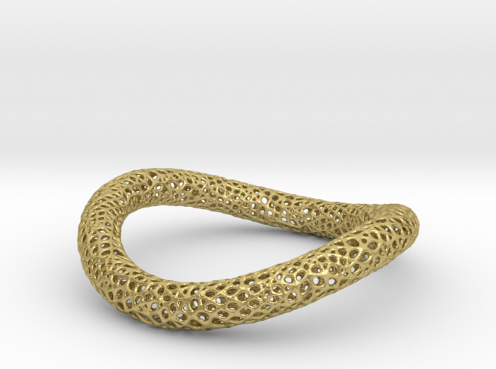 TORUS CORAL NEW 1-3 silver 3d printed