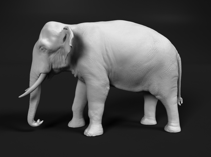 Indian Elephant 1:76 Standing Male 3d printed 