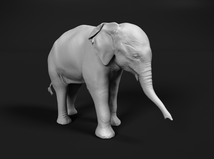 Indian Elephant 1:96 Standing Female Calf 3d printed 
