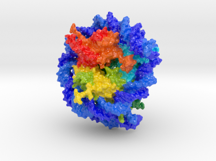 Nucleosome - 1ID3 3d printed