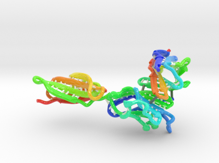 PD-1/PD-L1 Complex (Large) 3d printed