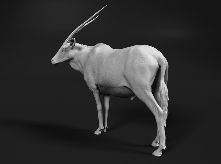 Gemsbok 1:15 Standing Male 3d printed