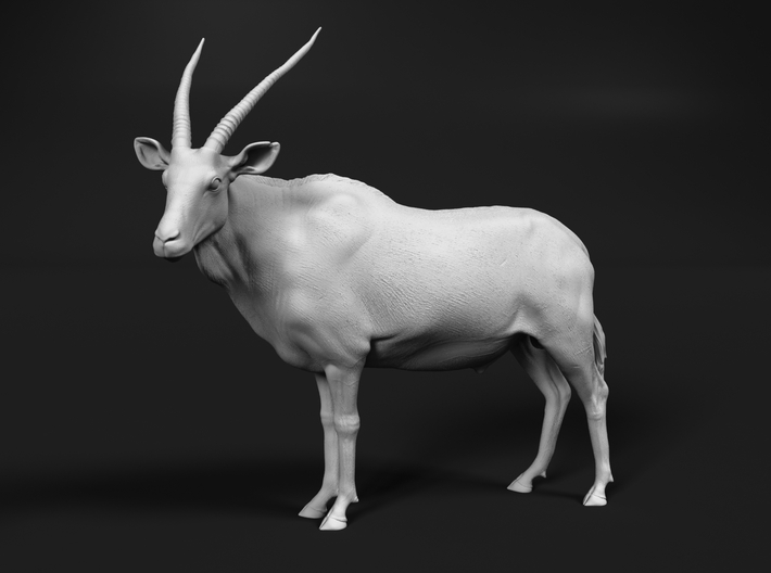 Gemsbok 1:15 Standing Male 3d printed 