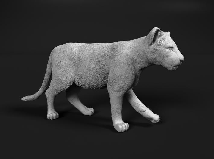 Lion 1:64 Walking Cub 3d printed 