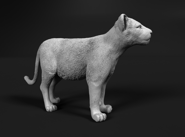 Lion 1:76 Standing Cub 3d printed 