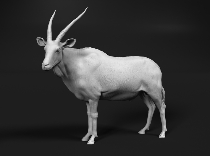 miniNature's 3D printing animals - Update May 20: Finally Hyenas and more - Page 10 710x528_25719906_13975182_1543201464