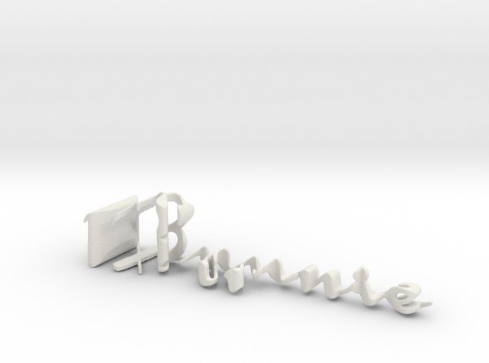 3dWordFlip: Bunnie/Williams 3d printed