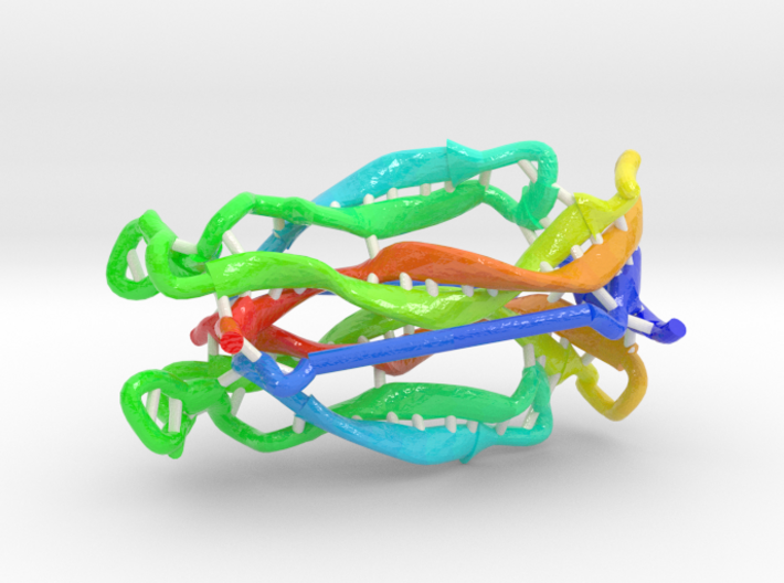 Human Interleukin 17A 3d printed